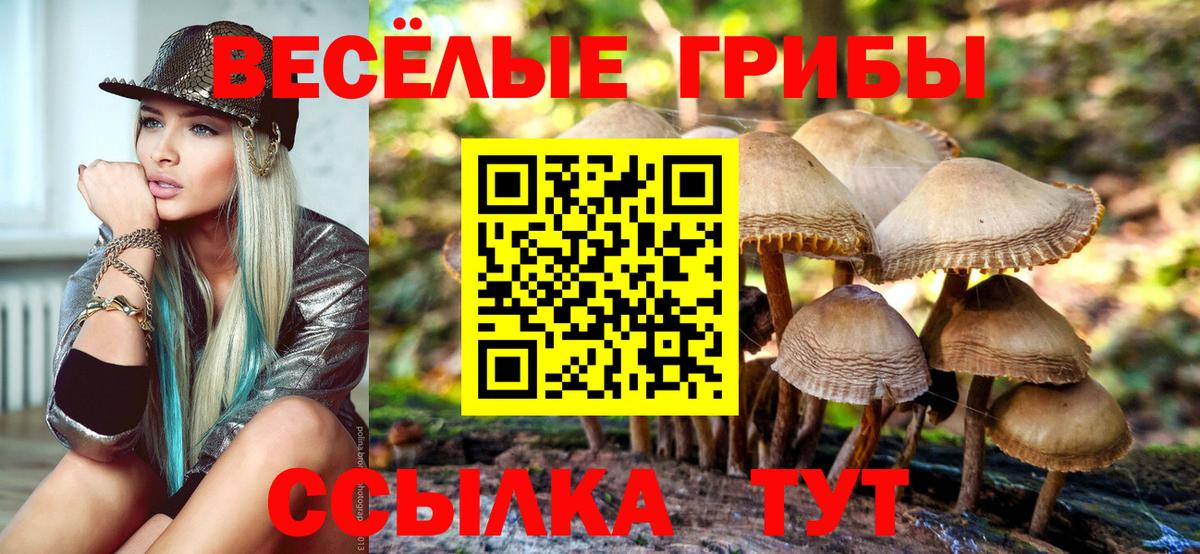Галлюциногенные грибы мухоморы Луга