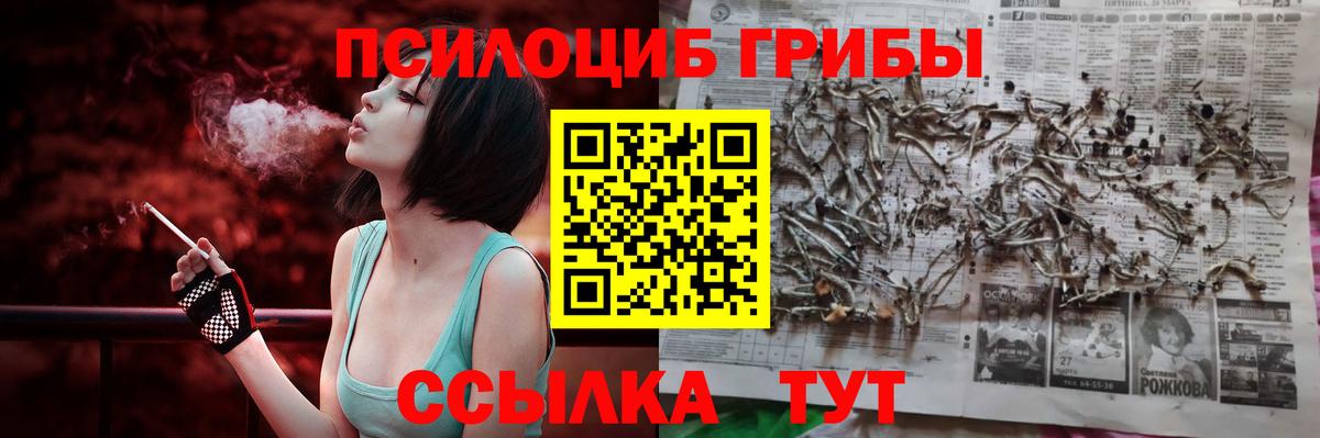 Псилоцибиновые грибы ЛСД  Вход с VPN  Галлюциногенные грибы MAGIC MUSHROOMS  Луга 